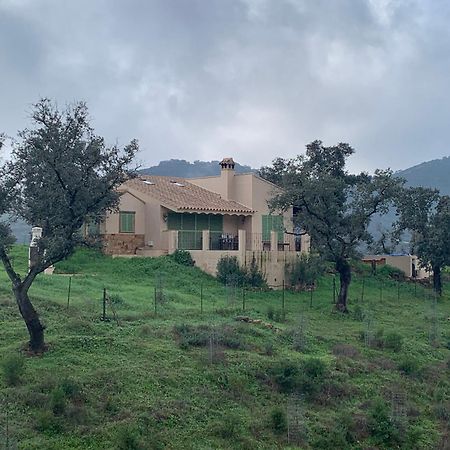 Alojamiento Rural En Aracena. Finca El Rehilete מראה חיצוני תמונה